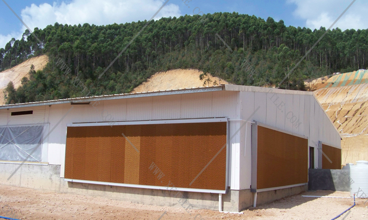 還在為廠房的墻體煩惱嗎？使用星發(fā)優(yōu)質(zhì)墻體廠房塑料瓦